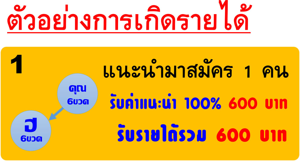 แผนการตลาดซีบัคธอร์น 250 แผนการตลาดซีบัคธอร์น 250