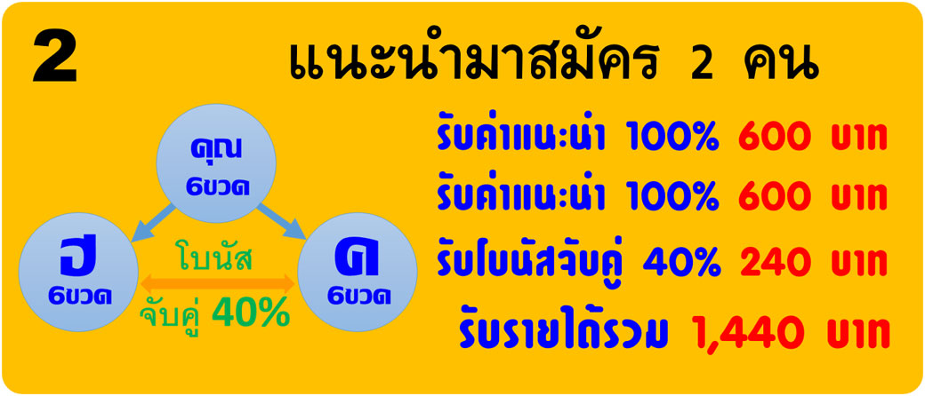 แผนรายได้ซีบัคธอร์น 250 แผนรายได้ซีบัคธอร์น 250