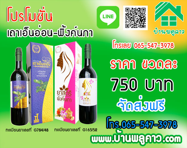 เถาเอ็นอ่อน เถาเอ็นอ่อน