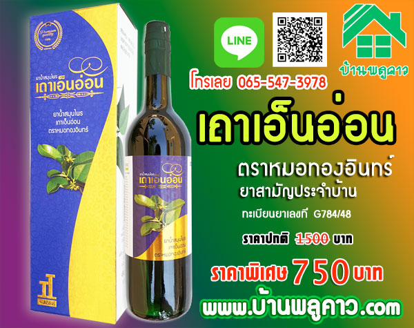 เถาเอ็นอ่อน เถาเอ็นอ่อน