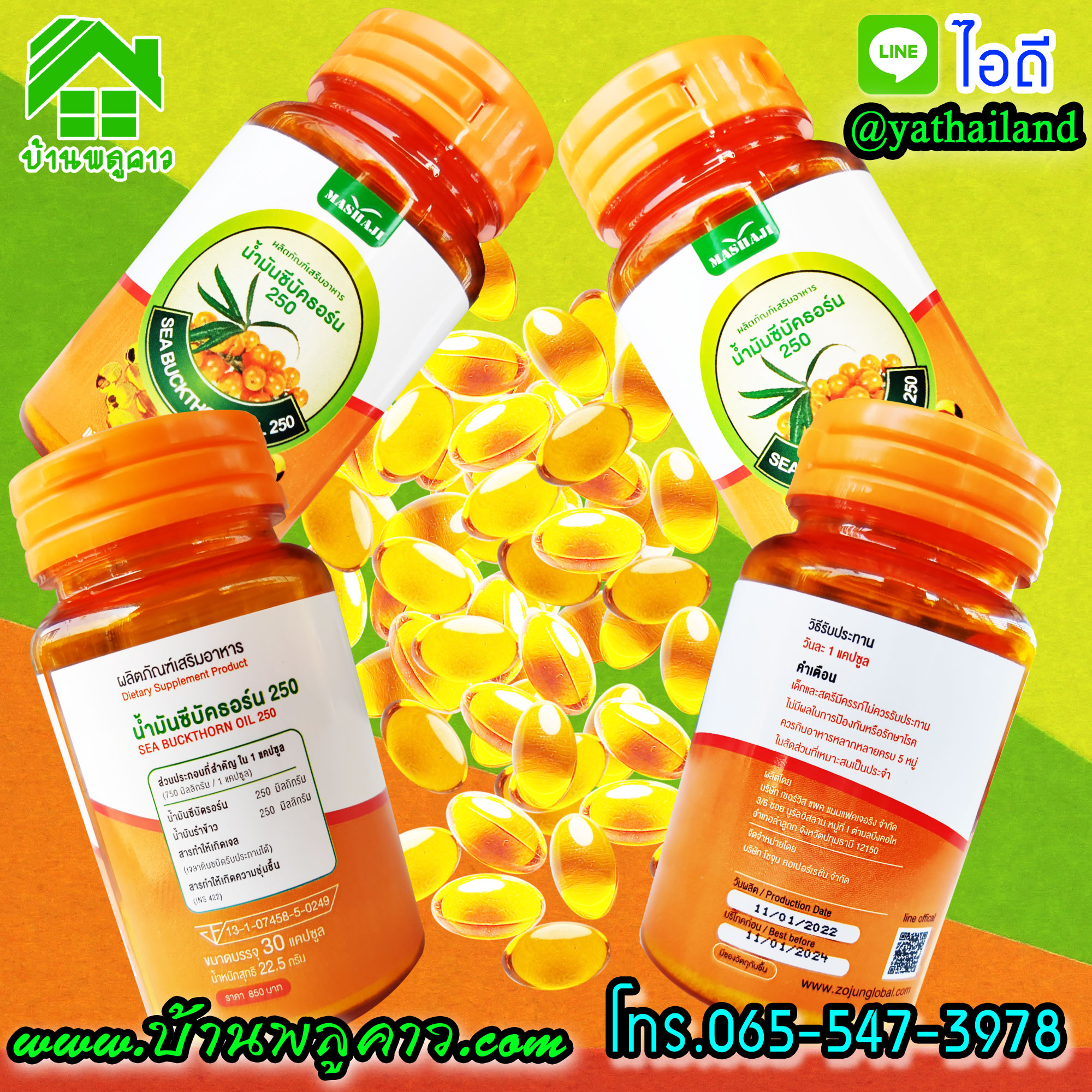 ซีบัคธอร์น 250 ซีบัคธอร์น 250