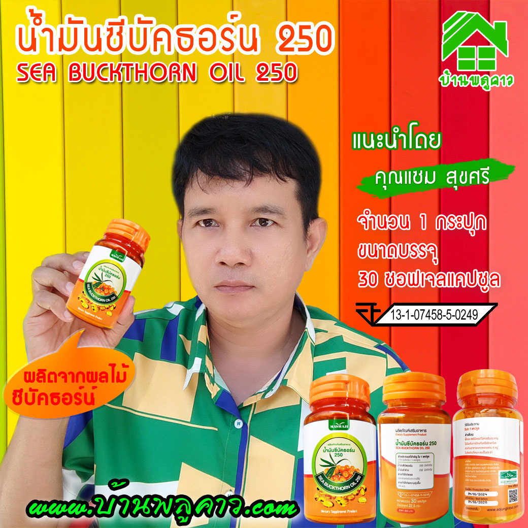 ซีบัคธอน ซีบัคธอน