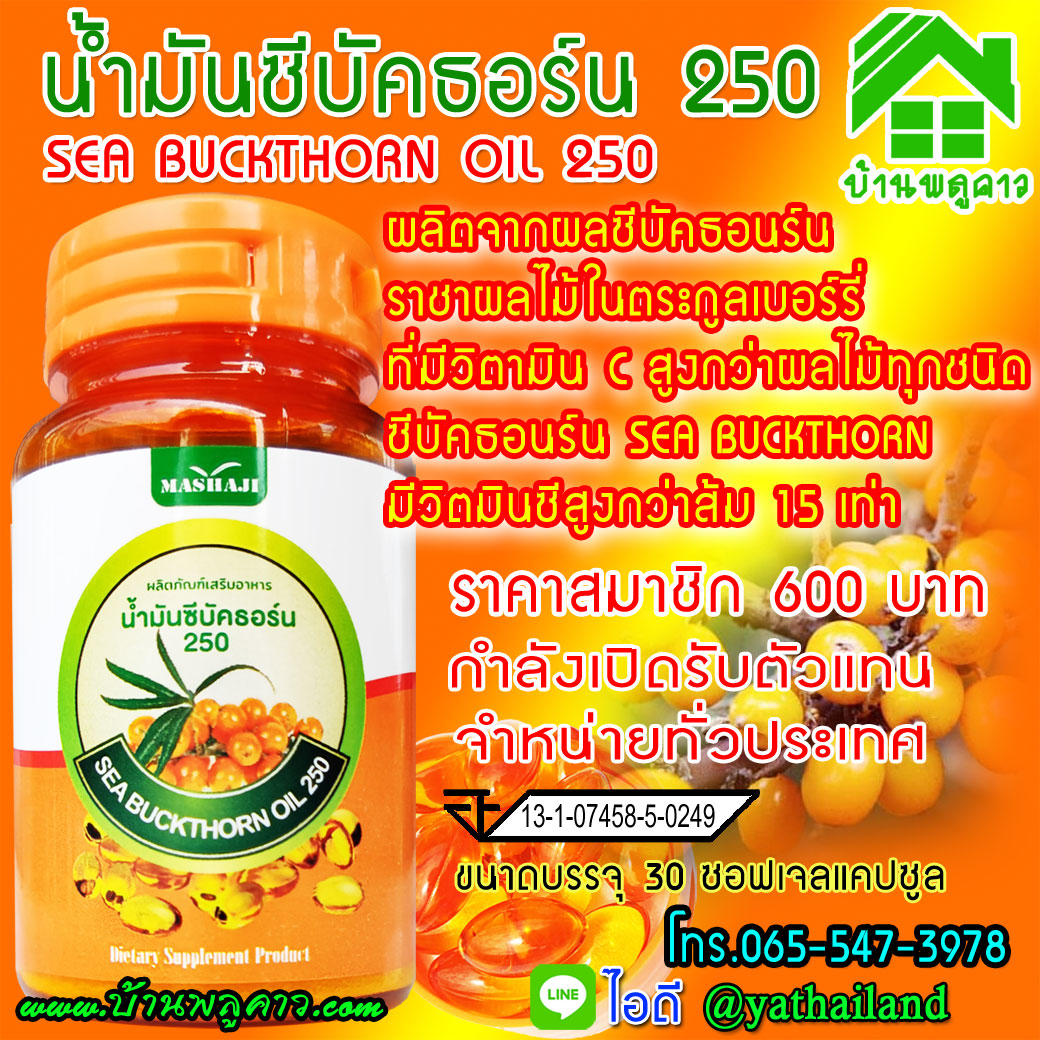 ซีบัคธอร์น ซีบัคธอร์น 250
