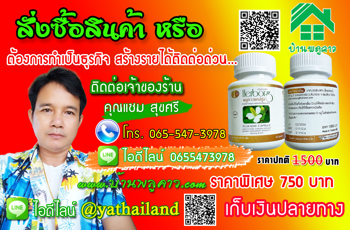 พลูคาว